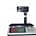 30kg Digital Printing Scale